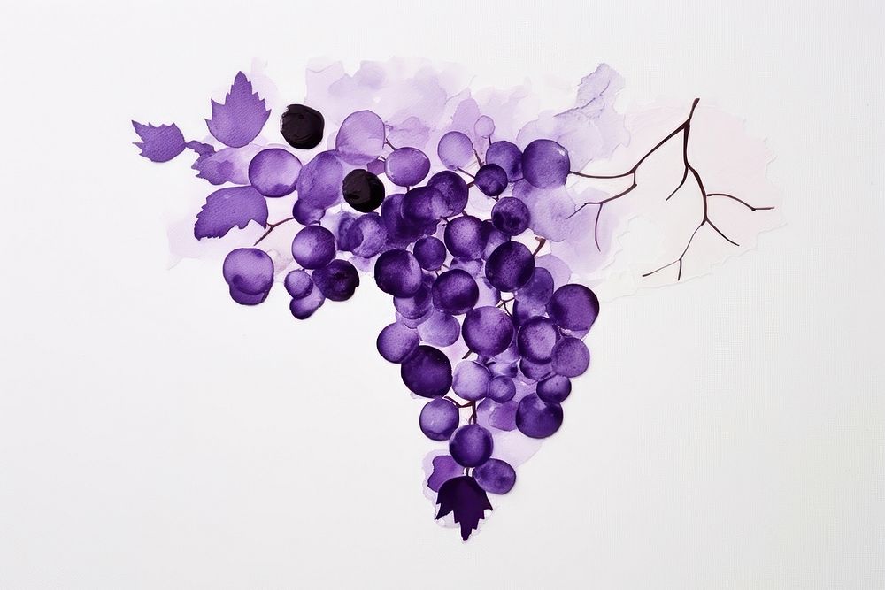 Abstract grapes ripped paper purple plant vine.