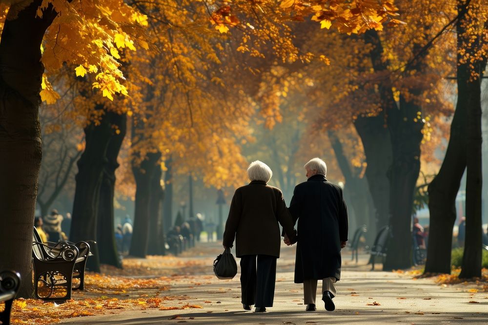 A elderly couple walking in public park autumn adult togetherness.