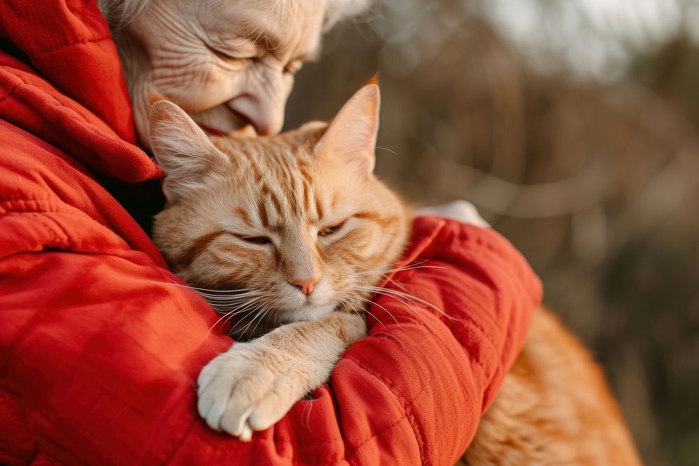 A elderly cuddling a cat animal mammal pet.