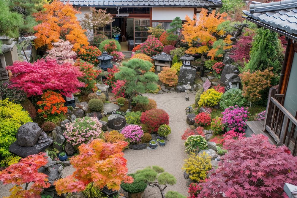 Festive japanese style garden outdoors nature flower.