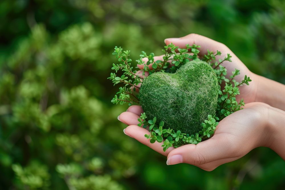 Hand holding green planet Earth in shape of heart outdoors nature finger.
