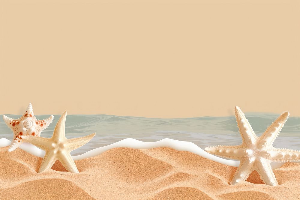 Starfish sand invertebrate tranquility.