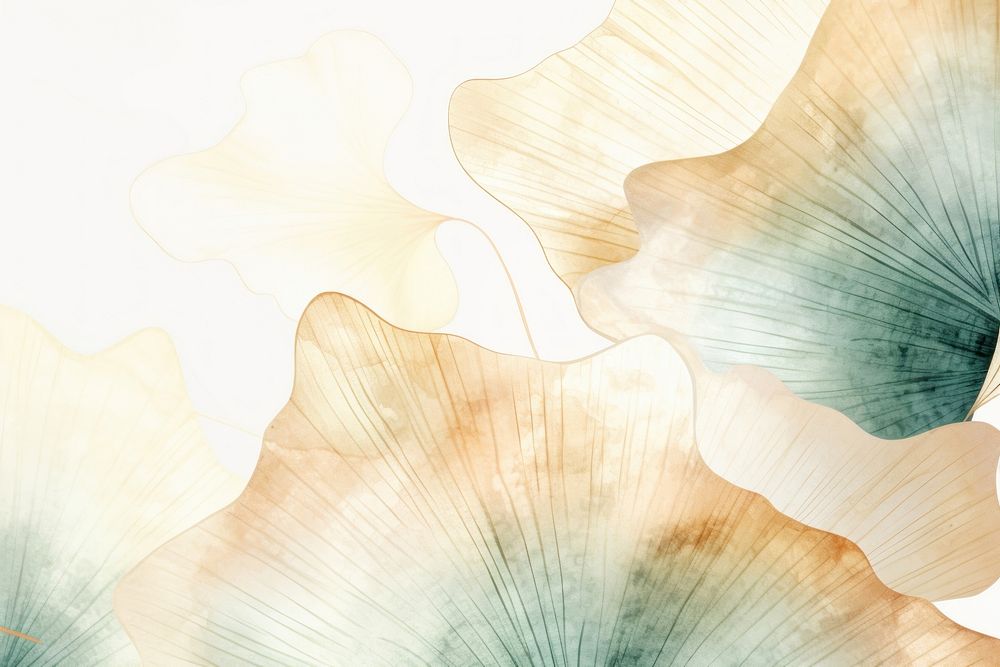 Ginkgo abstract cute shape backgrounds petal invertebrate.