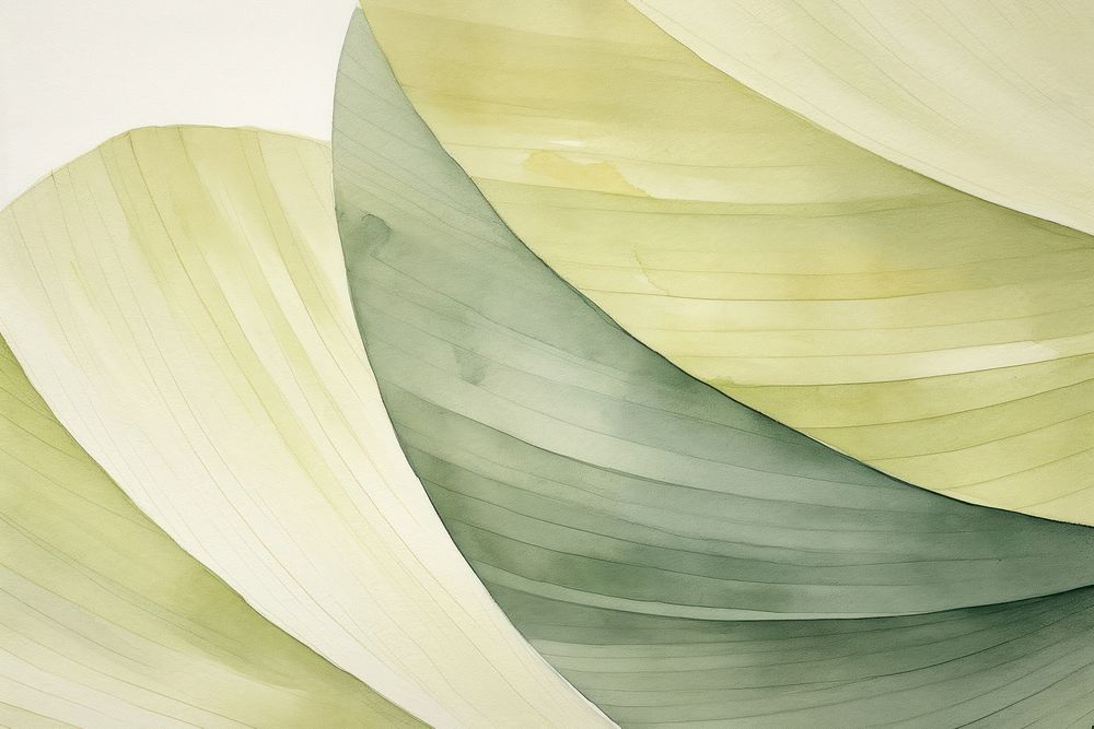 Backgrounds abstract plant petal.