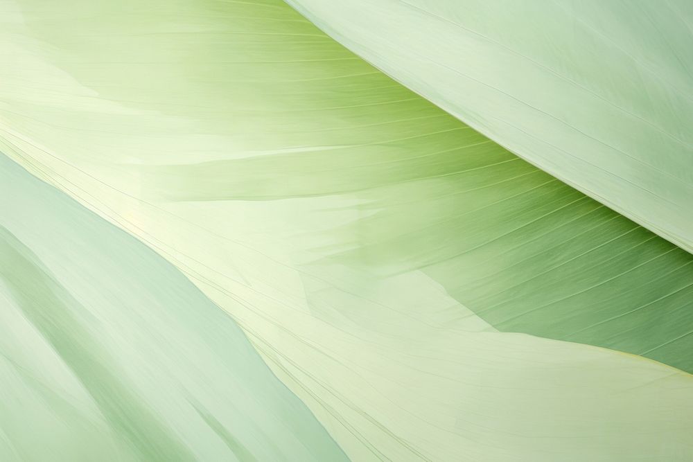 Green backgrounds abstract nature.
