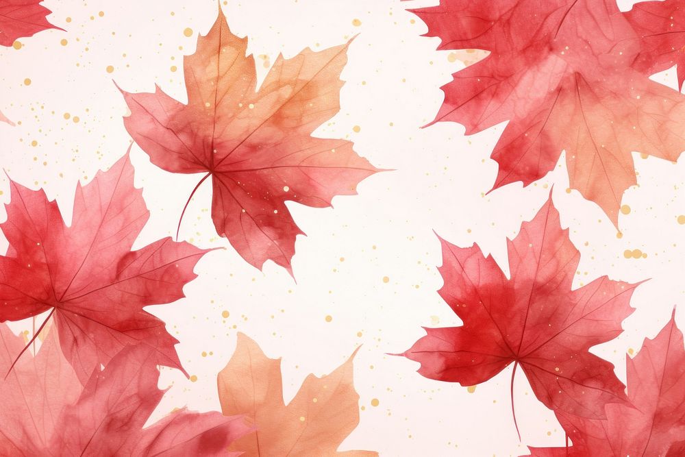 Maple backgrounds abstract leaves.