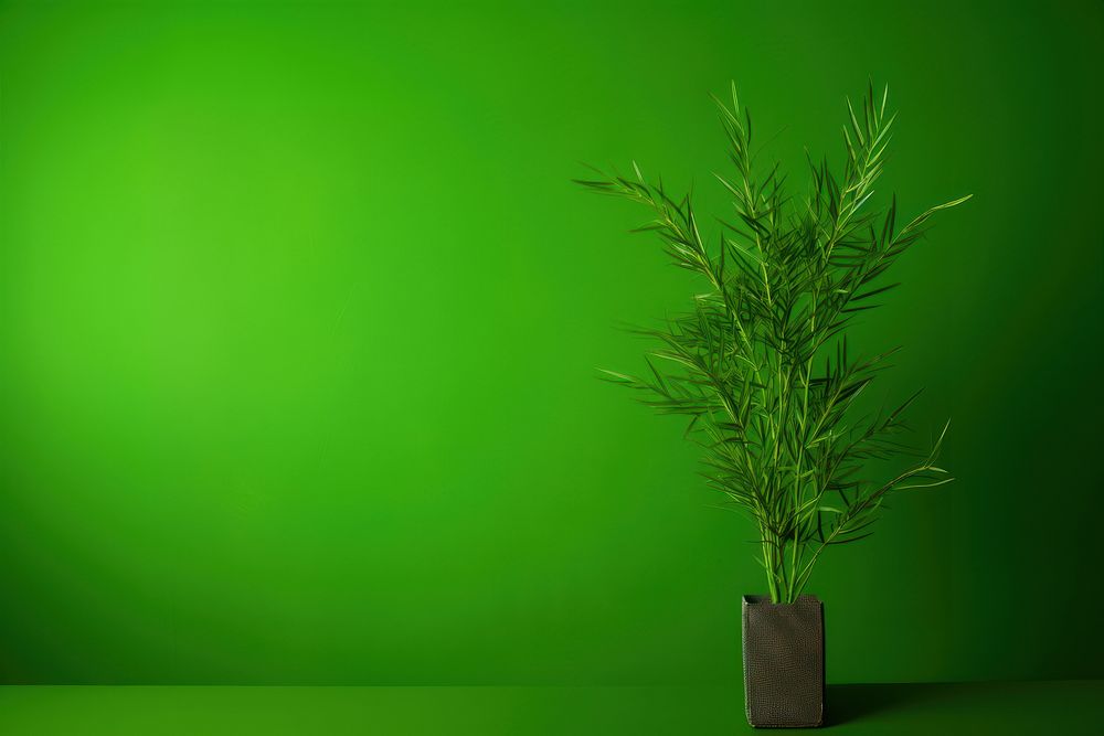 Greenery green plant houseplant.