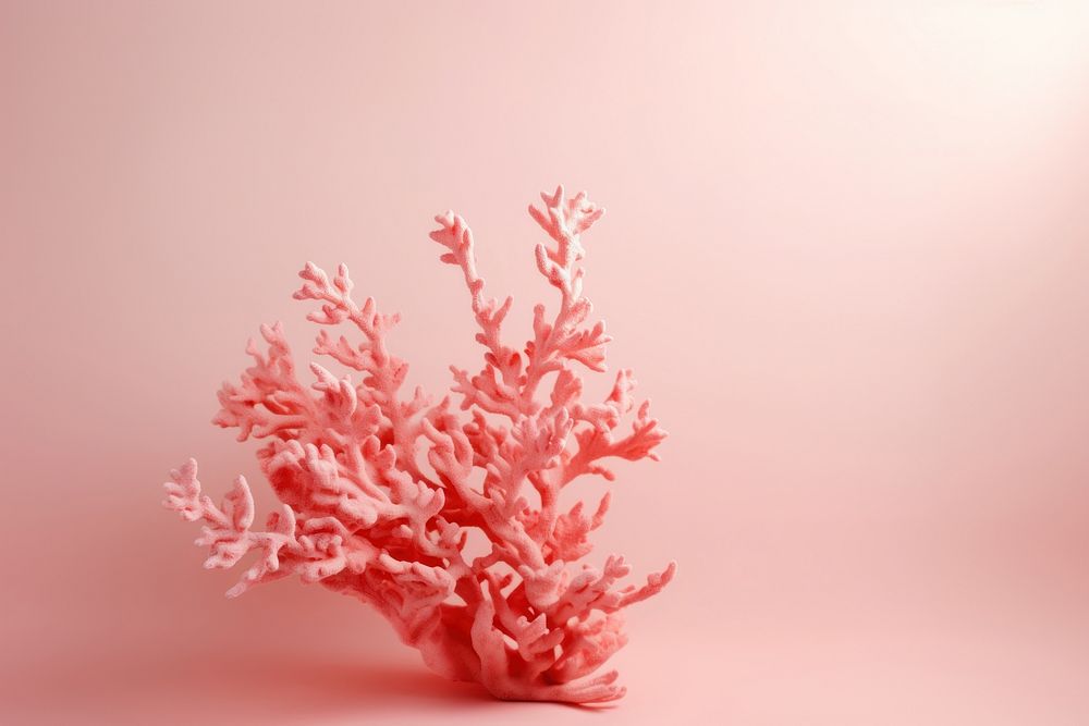 Pinkish coral nature plant underwater.