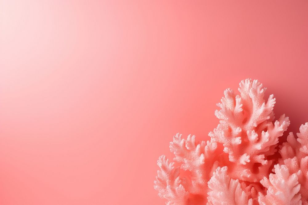 Pinkish coral nature sea underwater.