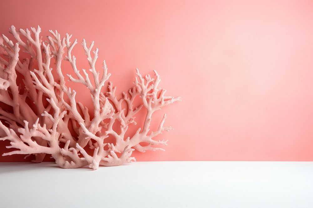 Pinkish coral nature plant sea.
