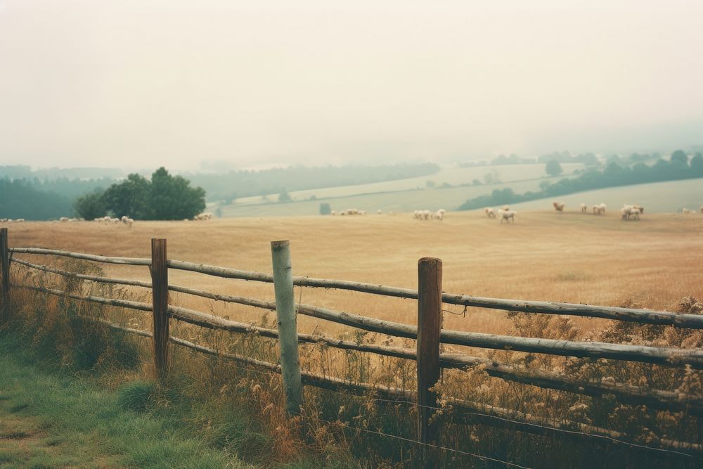  Countryside landscape grassland livestock outdoors. AI generated Image by rawpixel.