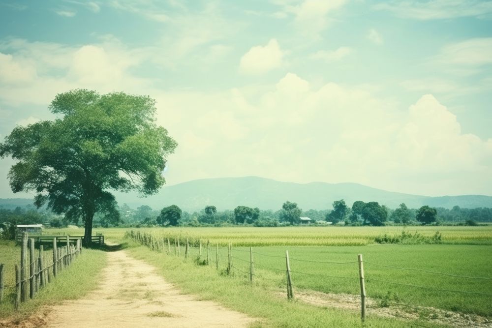  Landscape countryside outdoors pasture. AI generated Image by rawpixel.
