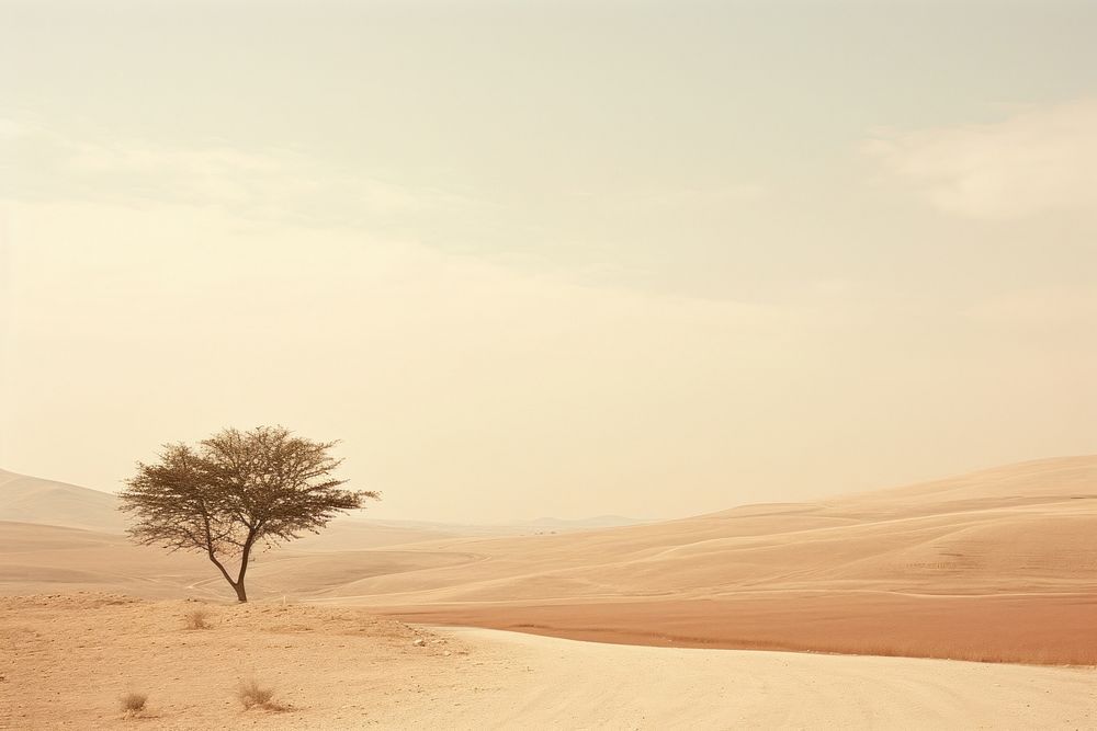  Landscape outdoors nature desert. AI generated Image by rawpixel.