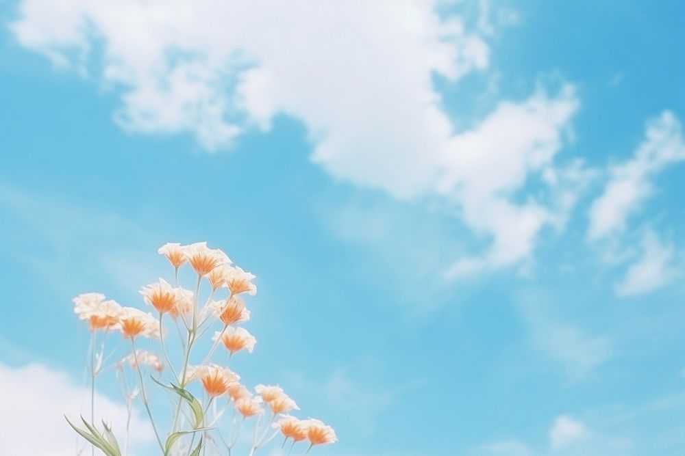  Cloud close up outdoors flower nature. AI generated Image by rawpixel.