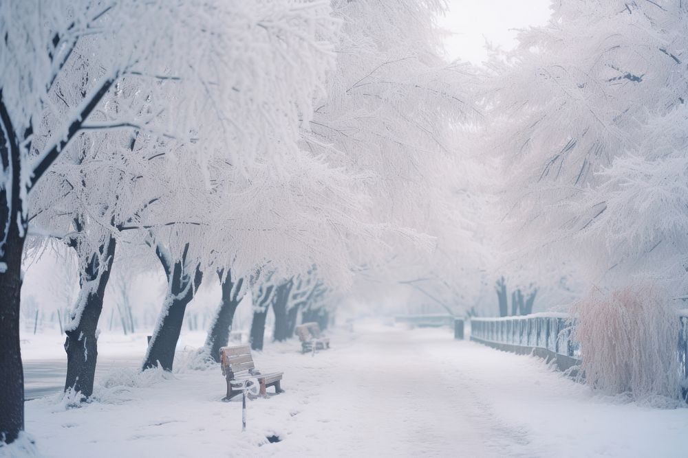  Snow outdoors winter nature. AI generated Image by rawpixel.