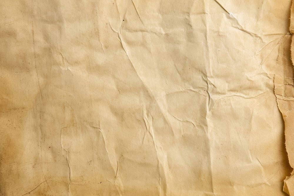 Parchment texture paper cardboard.