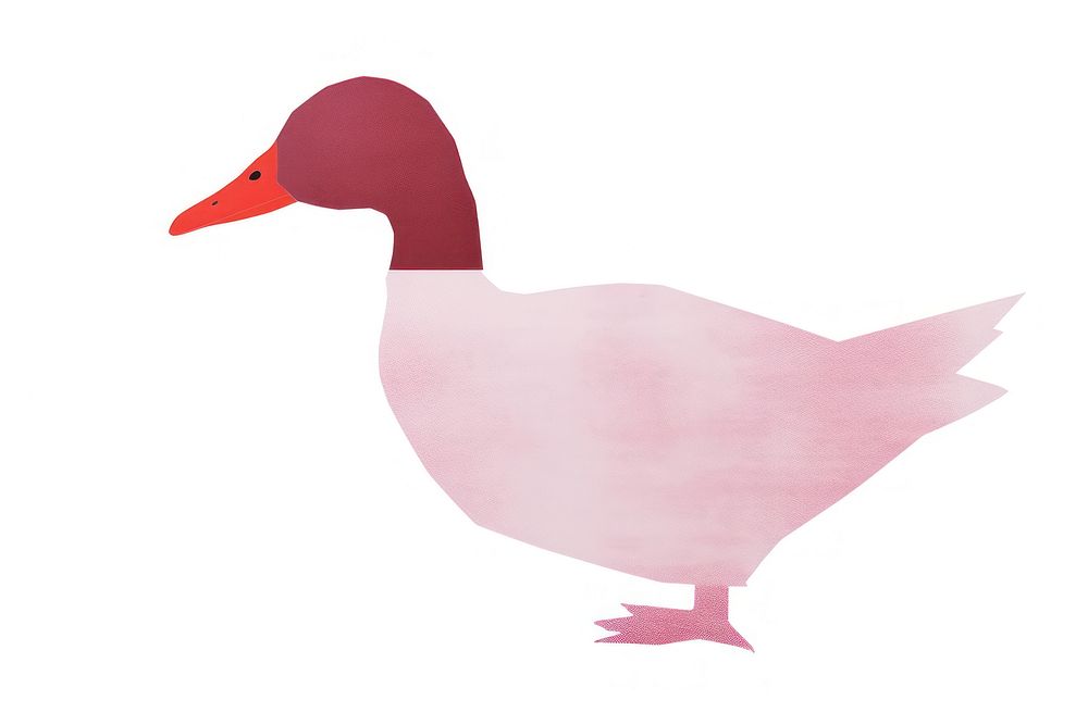 Duck minimalist form animal bird white background.