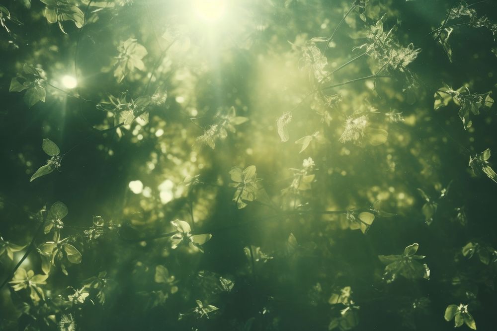  Green vintage light leaks overlay background green backgrounds sunlight. AI generated Image by rawpixel.