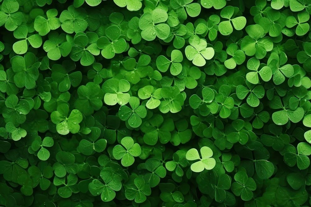  Green clover leaf background green backgrounds outdoors. AI generated Image by rawpixel.
