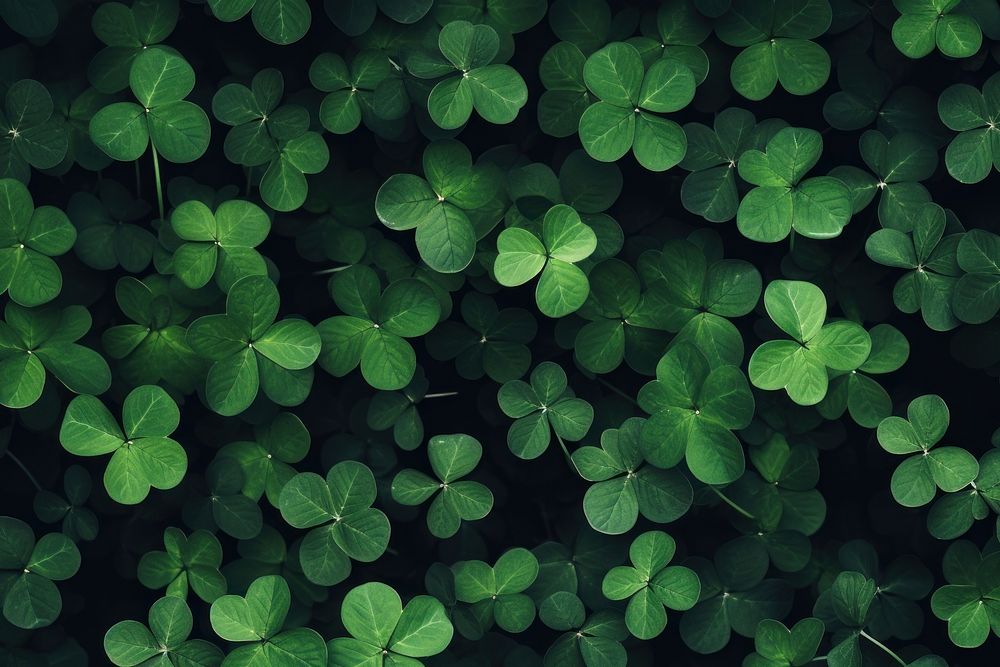  Green clover leaf border background green backgrounds outdoors. AI generated Image by rawpixel.