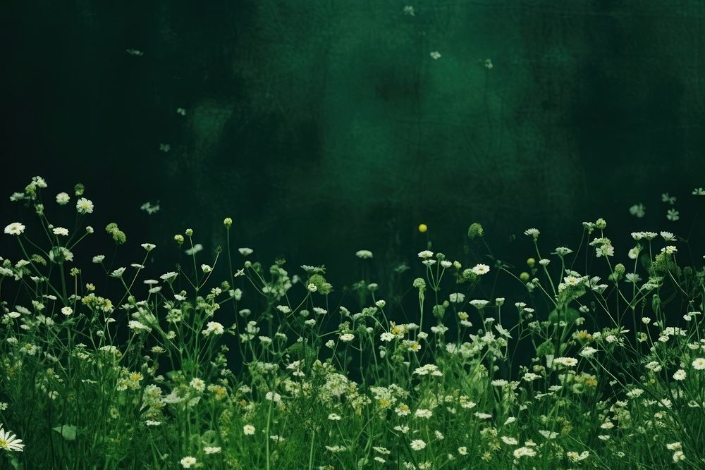  Green flower field border green backgrounds grassland. AI generated Image by rawpixel.