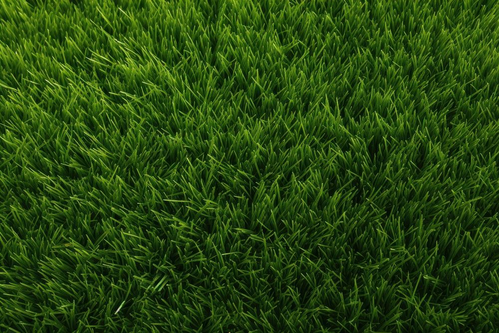  Green grass field texture green backgrounds plant. AI generated Image by rawpixel.