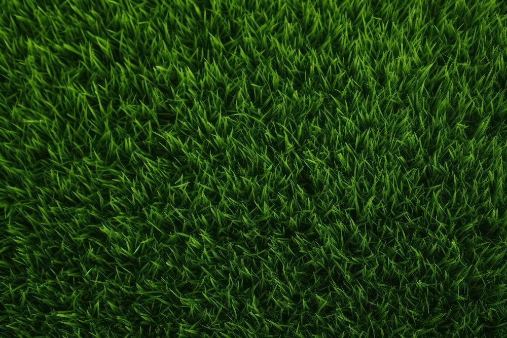  Green grass field texture green backgrounds outdoors. AI generated Image by rawpixel.