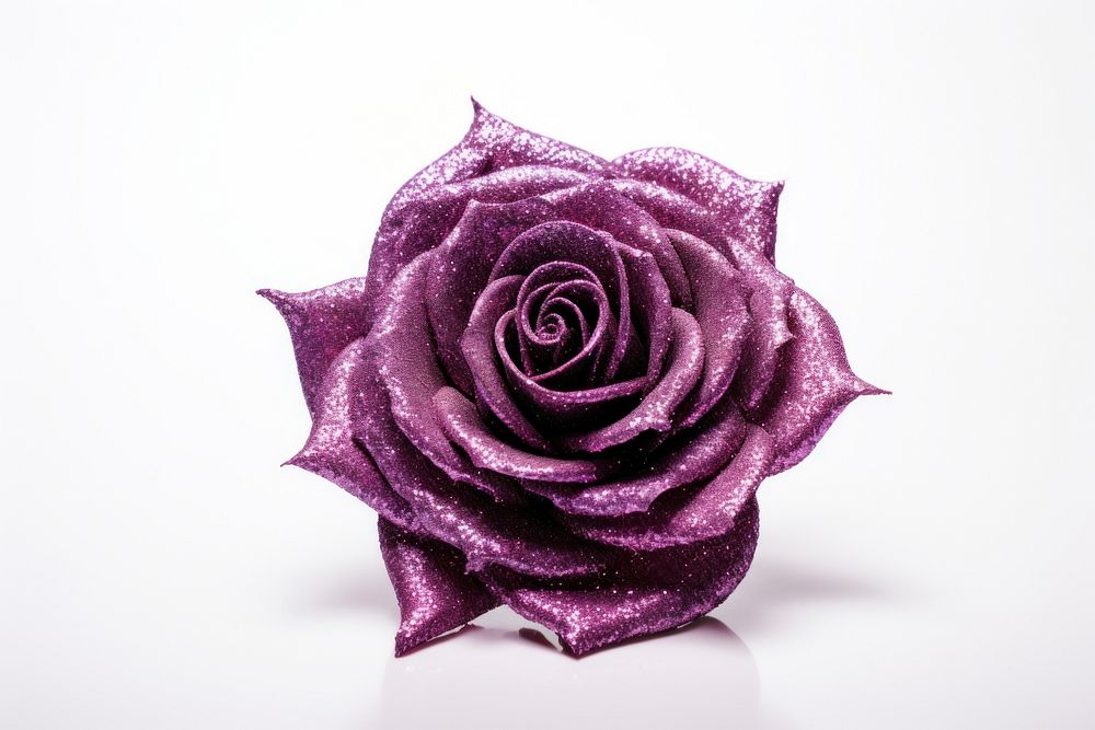 Glitter silhouette rose flower plant white background inflorescence. AI generated Image by rawpixel.