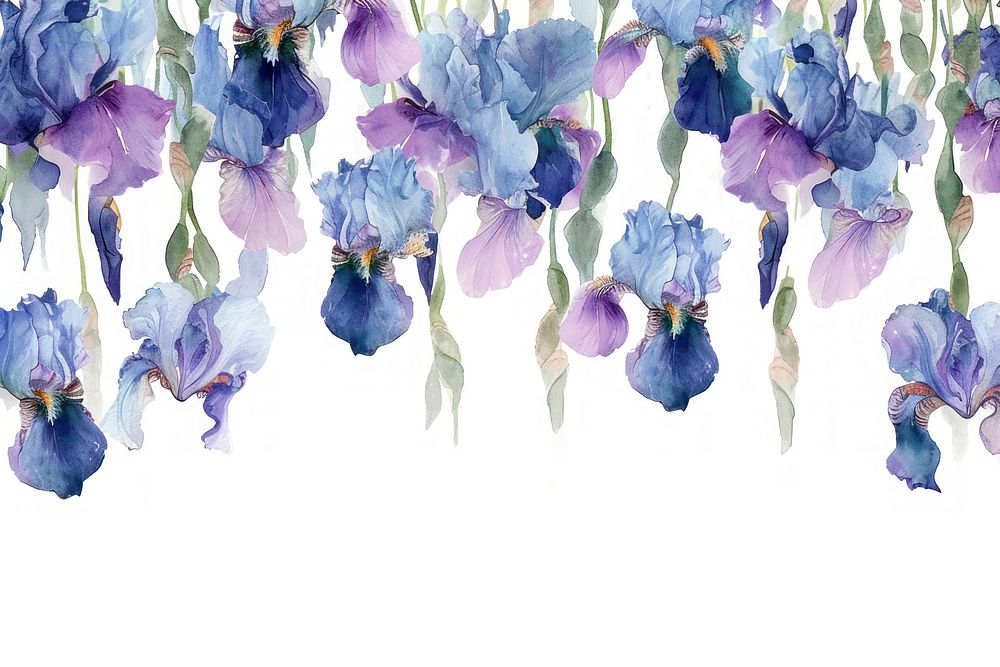 Iris flowers hanging nature petal.