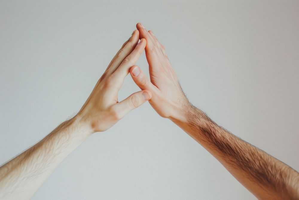 Creative people hands high five togetherness gesturing touching.