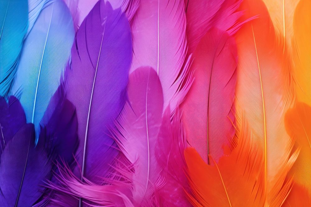 Feather background backgrounds purple red.