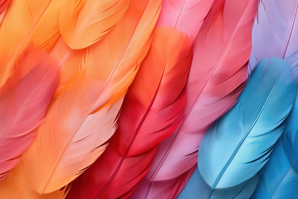 Feather background backgrounds bird red.