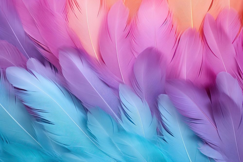 Feather background backgrounds pattern purple.