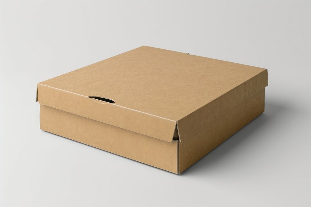 Food delivery box packaging  cardboard carton white background.