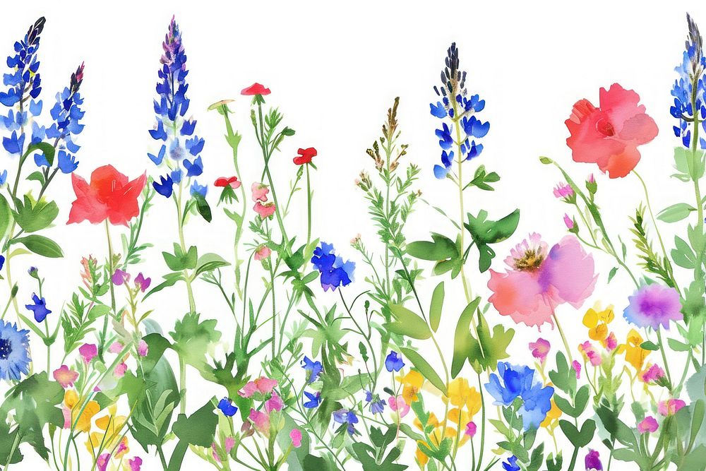 Wildflower watercolor border backgrounds outdoors blossom.