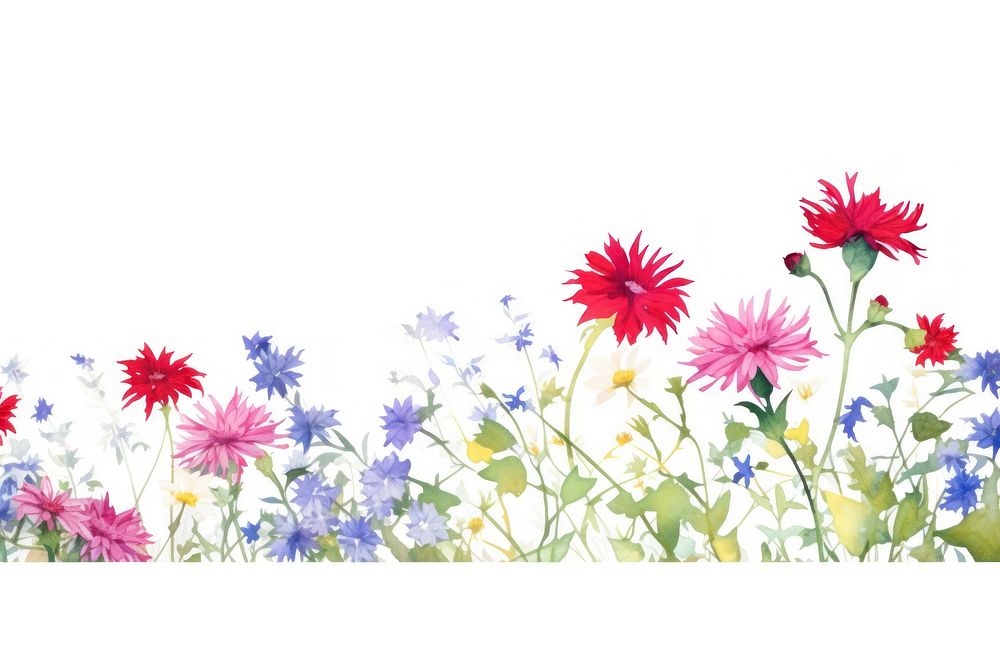 Aster watercolor border backgrounds outdoors pattern.