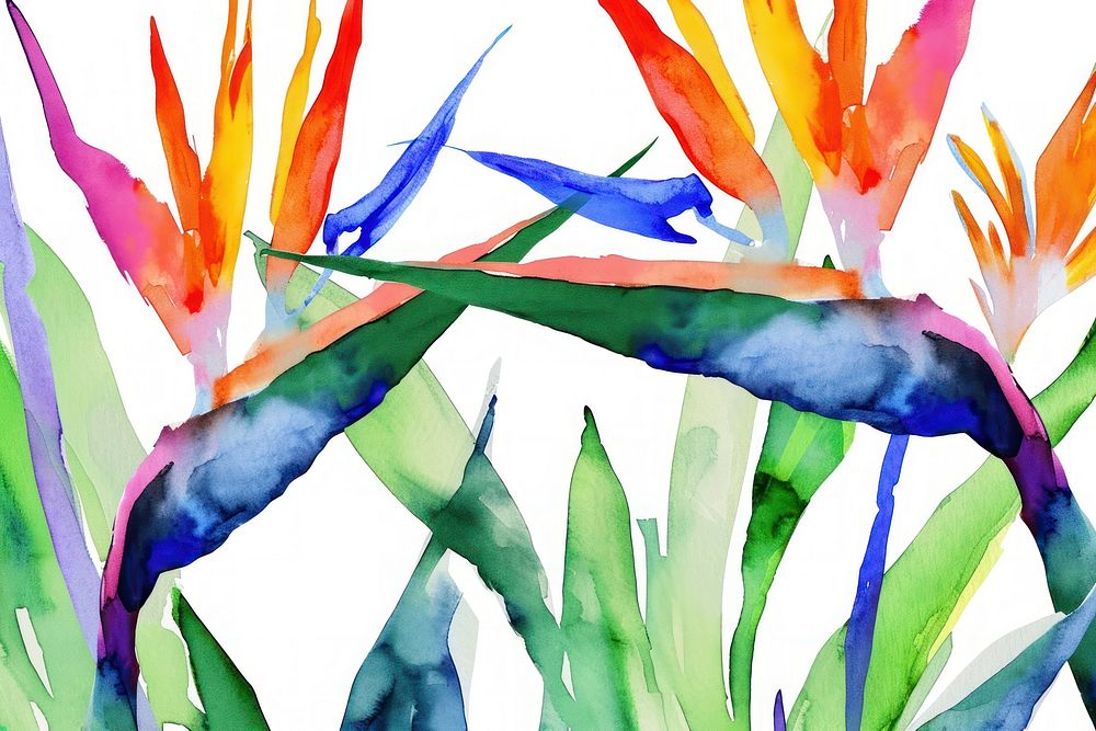 Bird of paradise watercolor border backgrounds plant creativity.