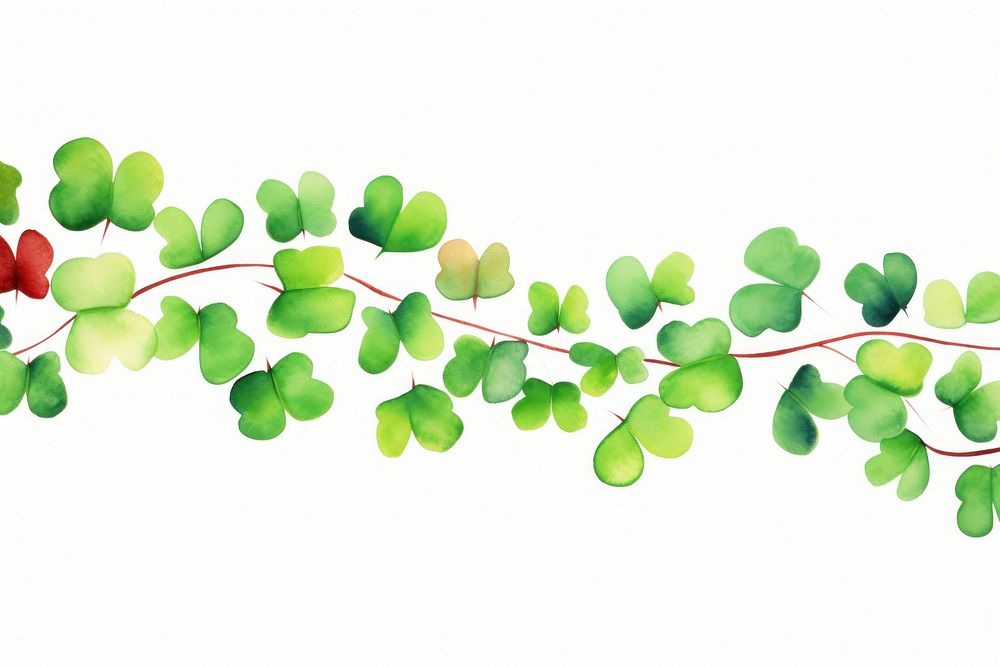 Clover leaf watercolor border backgrounds plant white background.