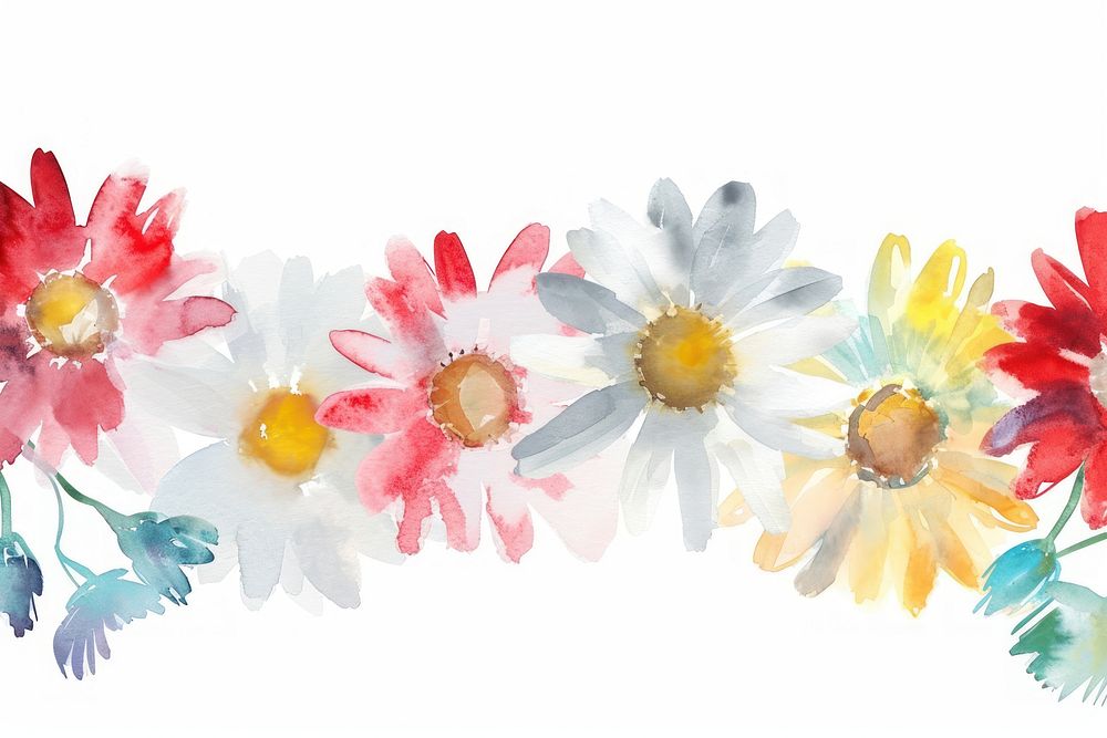 Daisy watercolor border pattern flower nature.