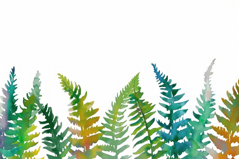 Fern leaf watercolor border backgrounds plant white background.