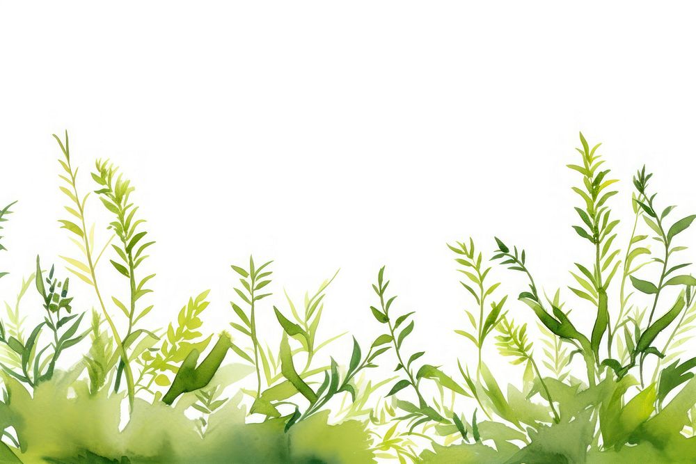 Greenery watercolor border backgrounds outdoors nature.