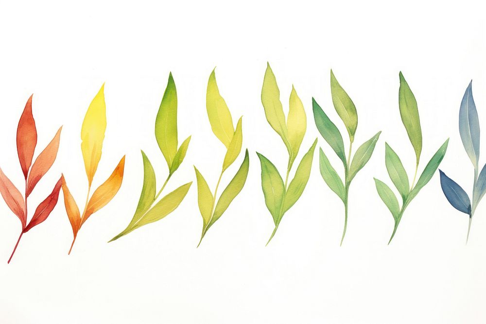 Laurel watercolor border backgrounds pattern plant.