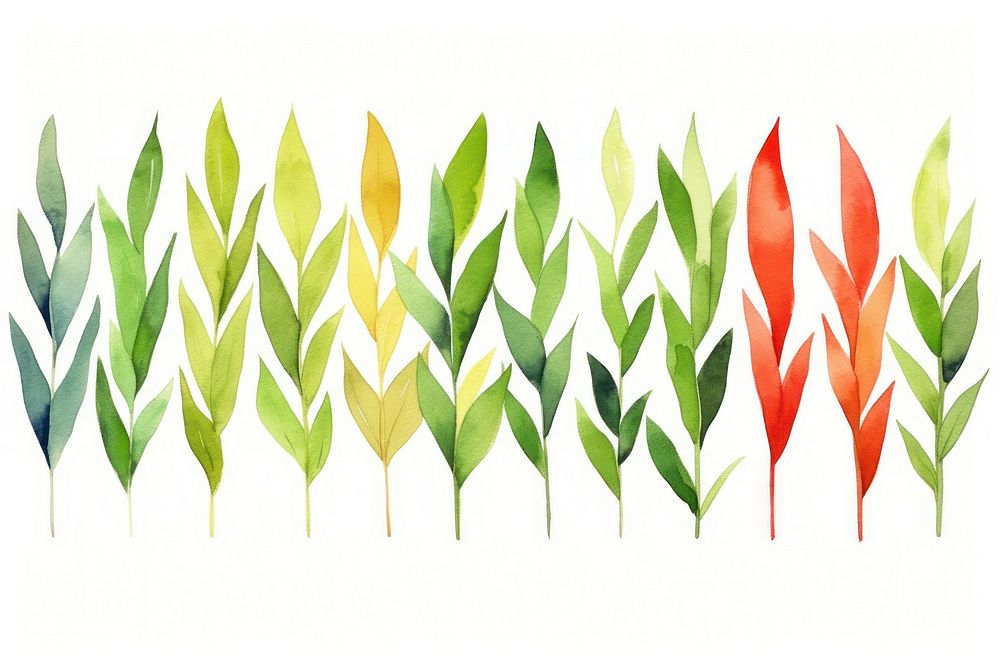 Laurel watercolor border backgrounds plant leaf.
