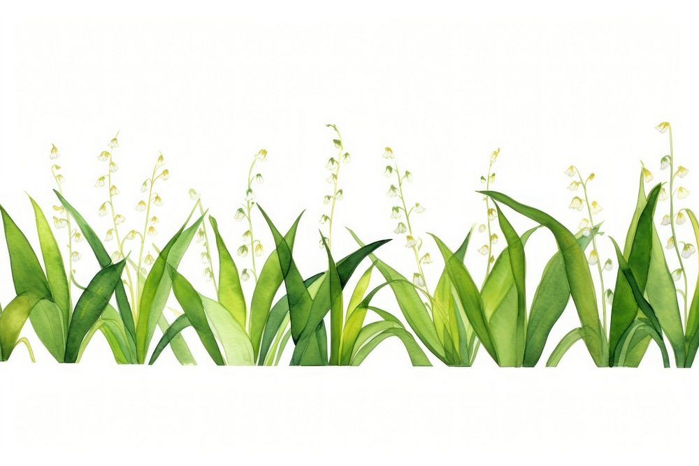 Lily of the valley watercolor border flower plant grass.