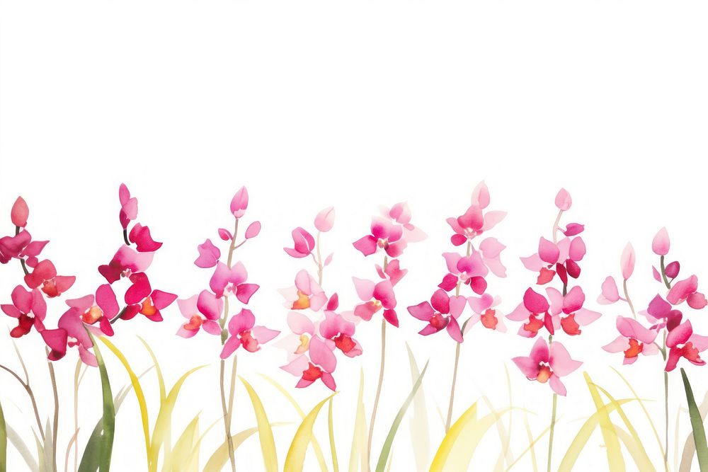 Orchid watercolor border blossom flower petal.