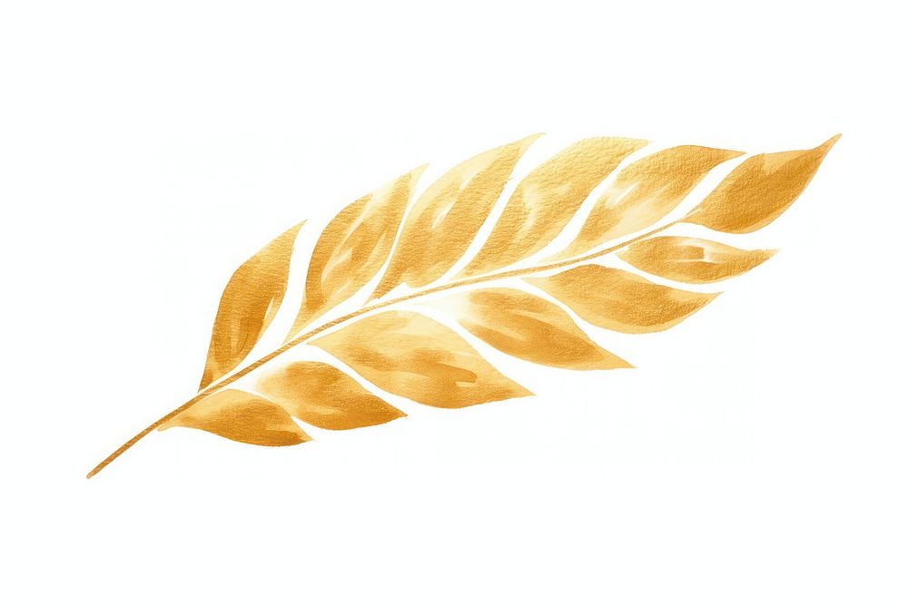 Fall leaf plant gold white background.