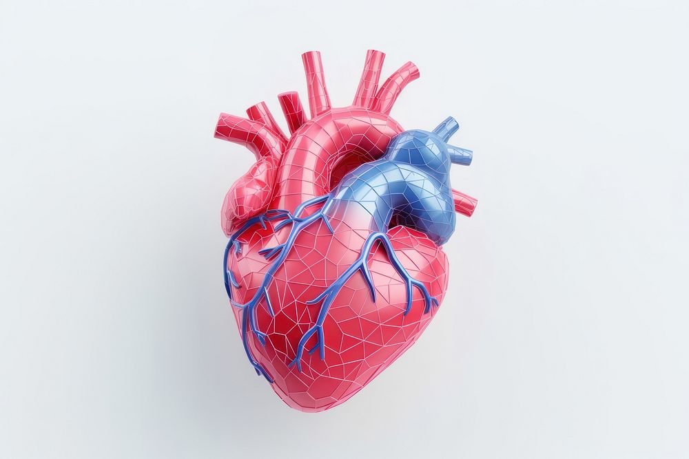 Heart anatomy ammunition weaponry science.