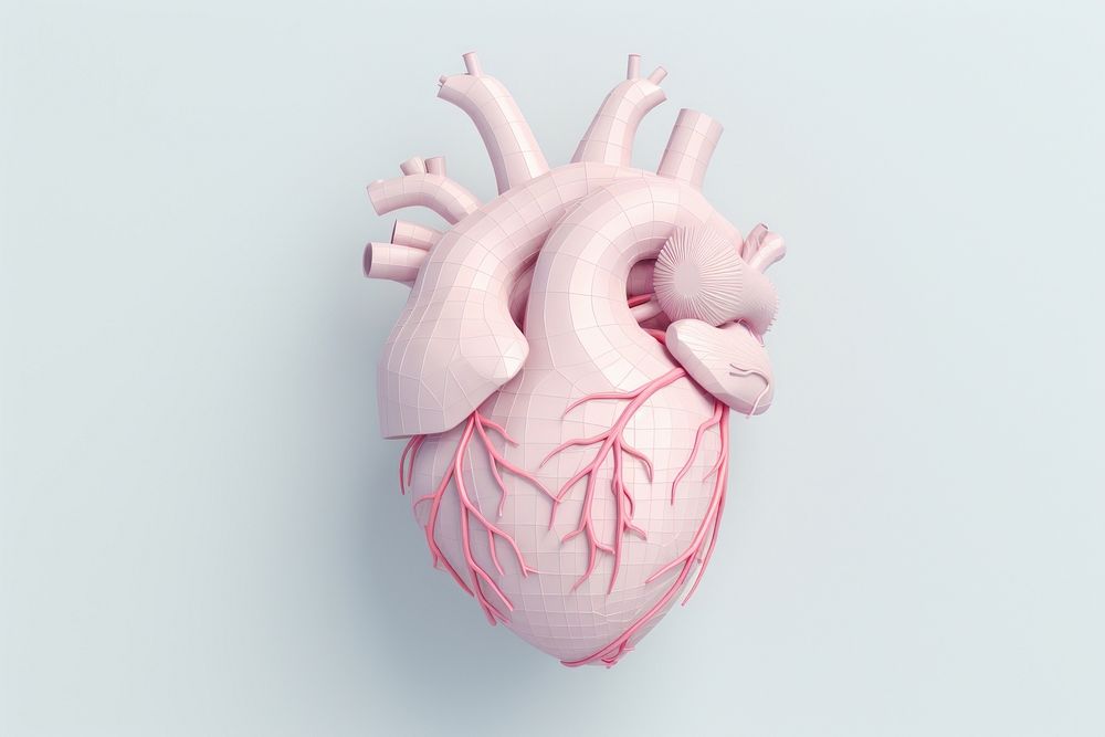 Heart anatomy medical creativity science.