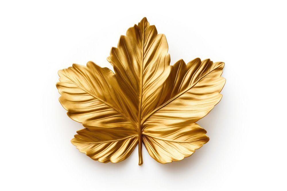 Hibiscus leaf gold jewelry plant.