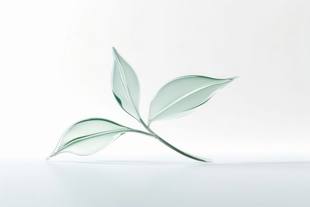 Leaf plant appliance porcelain.